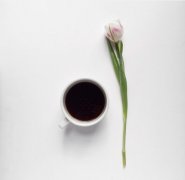 The caffeine concentration of dried Geisha fruit is the highest.