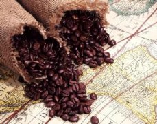 The main characteristics of Musk Coffee the characteristics of Kopi Luwak