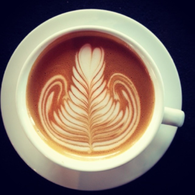 Coffee knowledge, Espresso oil status on the impact of flower pull