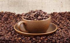 Summarize the speeches of the world's top coffee bar chefs.