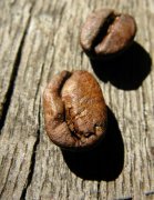 King Coffee Story-planting environment with superior flavor and taste of Jamaican Blue Mountain boutique coffee beans
