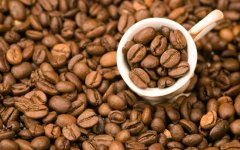 Definition and concept of boutique coffee beans
