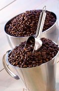 Coffee producers in Asia introduce coffee from India
