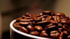 Basic knowledge of Coffee Bean varieties around the World