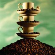 Basic knowledge of coffee the quality of drinking coffee varies from person to person.