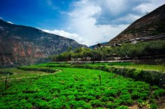 The Legend of Coffee in Zhukula Village, Dali, Yunnan Province