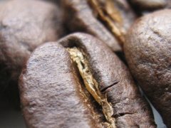 Unravel the mystery of coffee roasting what is coffee roasting
