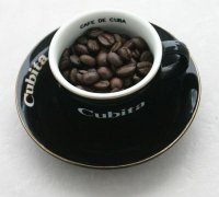 Selection of coffee beans quality coffee beans