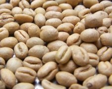 The theory of male and female coffee beans originated in Indonesia.