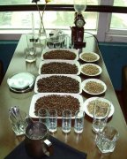 The significance of testing cupping boutique coffee cups