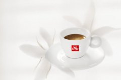 Basic knowledge of boutique coffee beans ILLY Coffee promotional Picture