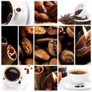 Common sense of the four most common types of coffee