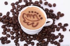 A survey of baristas' professional standards and occupations