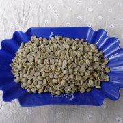 Washing treatment of cooked coffee beans in Caesalouis Manor, Panama, coffee beans in Pokuit boquete producing area