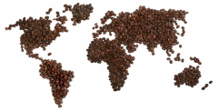 Chinese Coffee History Chinese Tea and Western Coffee Culture