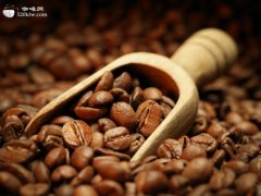Guatemalan coffee beans the best quality coffee in the world