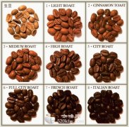 Quality of Coffee basic knowledge of Fine Coffee