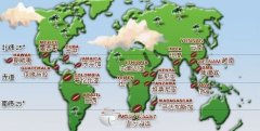 A list of well-known coffee beans in the world