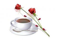 Espresso Formula Rose Coffee