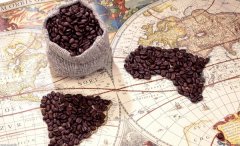 What kind of coffee bean brand do you like?