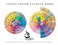 How do you produce the strange smell of coffee?