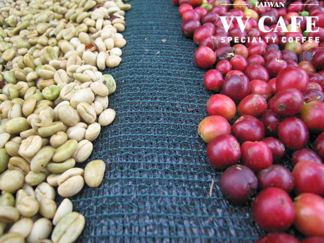 Why is coffee sour and sour coffee?
