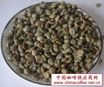 Pictures of coffee beans from various countries basic knowledge of high-quality coffee beans