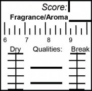 How to use SCAA coffee cup meter Coffee Cupping
