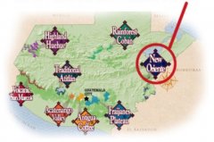 Guatemala kapok boutique coffee micro special south fruit