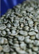 Boutique coffee roasting Brazil Datra Sunrise SUNRISE