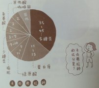 Figure out what ingredients raw coffee beans are made of.