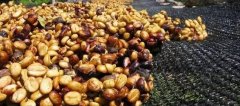 In addition to the sun, washing and washing, there is also a method called honey treatment.