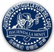 Antigua Coffee, Guatemala (Guatemala Antigua)