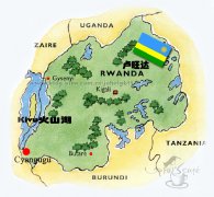 Rwandan coffee is famous for its washed Arabica beans.