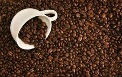 The most expensive coffee in shit, Kopi Luwak, so why is Kopi Luwak so expensive?