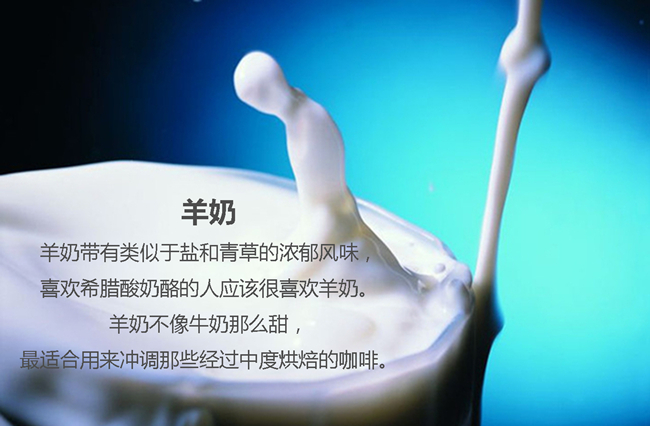 哪些奶制品是咖啡的忠实小伙伴？