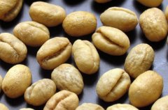 Introduction to Tanzania Coffee Raw Bean
