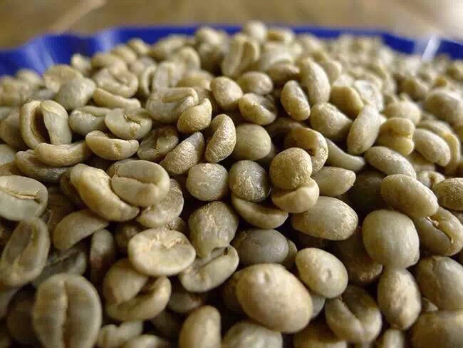 China's first coffee bean inspection and quarantine industry standard issued