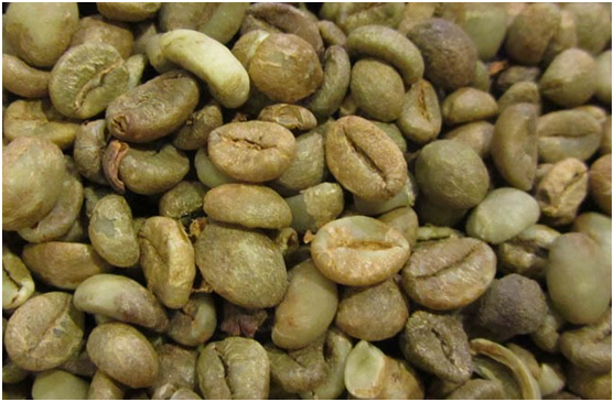 Yunnan Coffee 