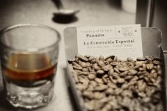 The basic knowledge of coffee beans what are flat beans, round beans and elephant beans?