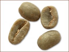 Picture of Blue Mountain Coffee beans (Blue Mountain)