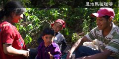 Exploration of Coffee Manor in Guatemala
