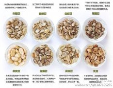 The standard of healthy coffee drinking is far away from instant coffee.