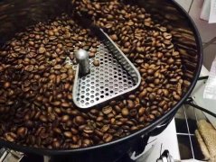 Species of coffee trees in Arabica, Robusta and Liberia