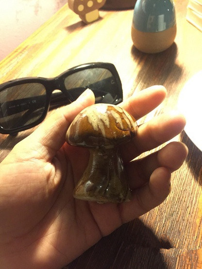 Zhuhai characteristic Cafe recommends Nikolai's Mushroom Cafe