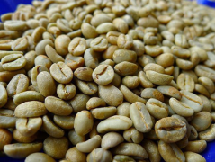 Coffee experts may not understand the 
