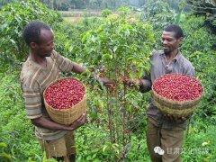 How coffee changes the world