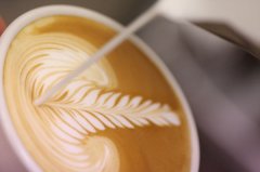 Is cat shit and elephant shit coffee really delicious? What's the difference in taste?