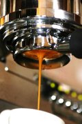 Dr. Illy's Industry Standards and Espresso Introduction