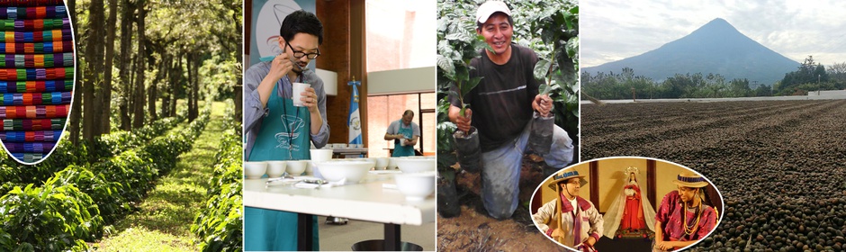Reform of international auction of high-quality coffee and raw beans